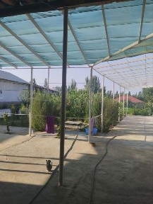 Toshkent viloyati Yuqori chirchiq tumani jambul maxala 18 sotix