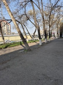 Ташкентская область, Ташкент, Яккасарайский район