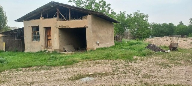 Ташкентская область, Нурафшан (Тойтепа)