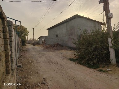 Ташкентская область, Пскент