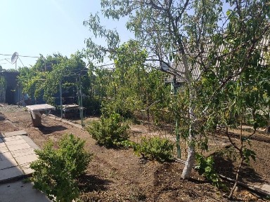 Продается дача в Кибрайском районе, поселок Майск! 8 соток.