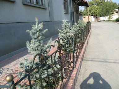 Ташкентская область, Кибрай