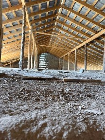 Ташкентская область, Кибрай