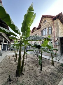 Ташкентская область, Ташкент, Мирабадский район