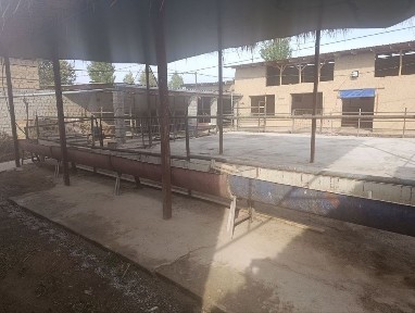 Uy /fema 8 sotix 3 ta xona oshxona