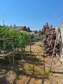 Ташкентская область, Ташкент, Сергелийский район