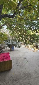 Ташкентская область, Кибрай