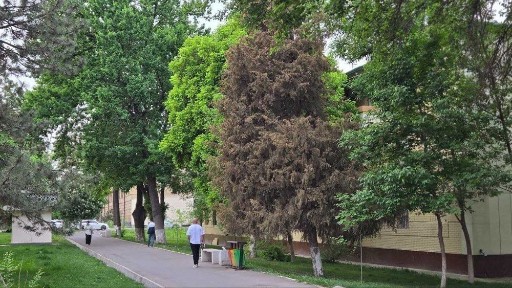 Ташкентская область, Ташкент, Яккасарайский район