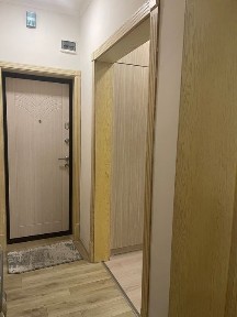 1 комнатная квартира студио с отдельной кухней