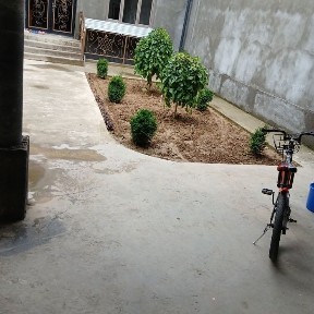 Ташкентская область, Коксарай