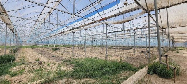 Самаркандская область, Самарканд