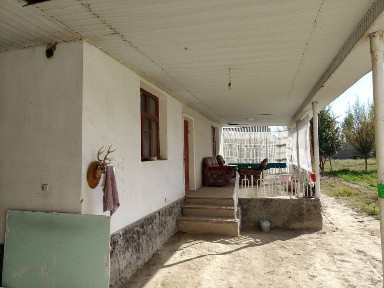 Ташкентская область, Нурафшан (Тойтепа)