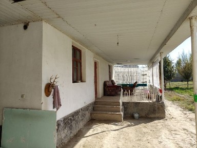 Ташкентская область, Нурафшан (Тойтепа)