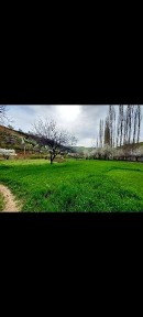 Ташкентская область, Газалкент