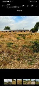 Ташкентская область, Янгибазар