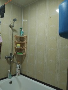 Ташкентская область, Нурафшан (Тойтепа)