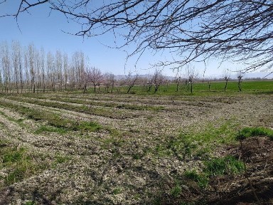 Самаркандская область, Булунгур