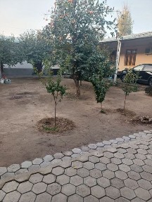 Ташкентская область, Ташкент, Яккасарайский район