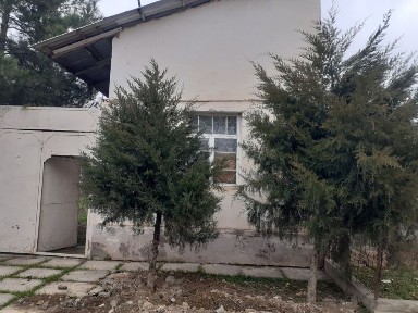 Ташкентская область, Кибрай