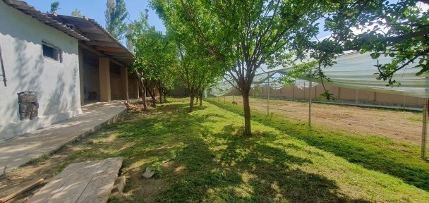 Ташкентская область, Янгиюль