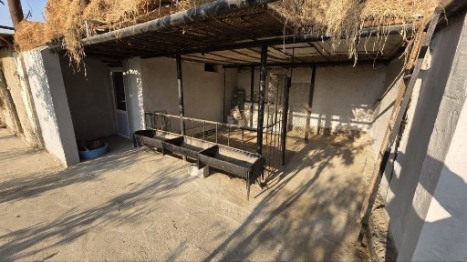 Ташкентская область, Янгиюль