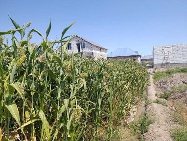 Uy satiladi Karaozek rayoni