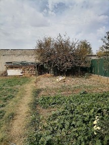 Продаётся участка 2сотки 5 микрорайон улица алотхона