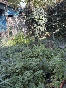 Ташкентская область, Ташкент, Мирабадский район