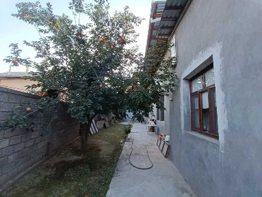 Ташкентская область, Ташкент, Мирзо-Улугбекский район