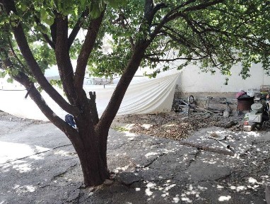 Ташкентская область, Ташкент, Учтепинский район