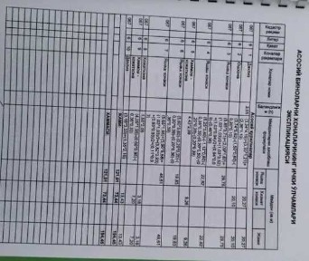 Ташкентская область, Ташкент, Юнусабадский район