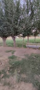 Srochna uchaska sotiladi