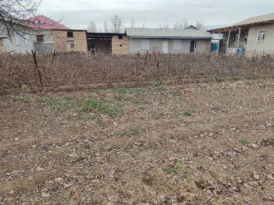 Ташкентская область, Янгибазар