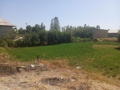 Самаркандская область, Самарканд