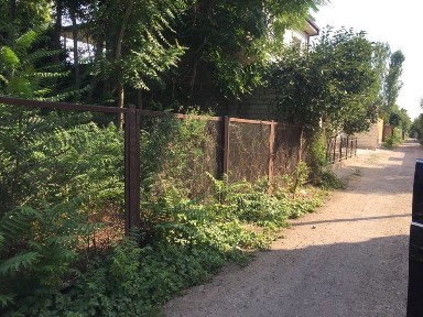 Ташкентская область, Кибрай