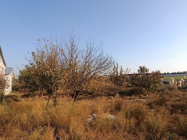 Бухарская область, Бухара