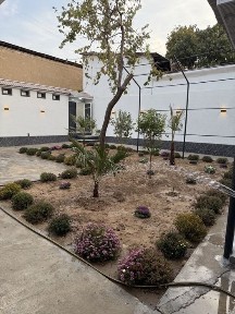 Ташкентская область, Ташкент, Алмазарский район