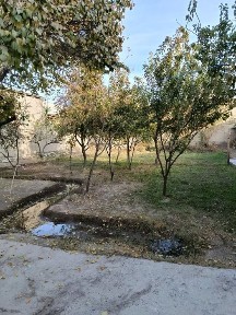 Shofirkon markazidan 8 sotixli xovli sotiladi