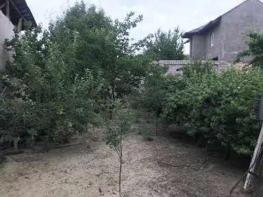 Ташкентская область, Ташкент, Юнусабадский район