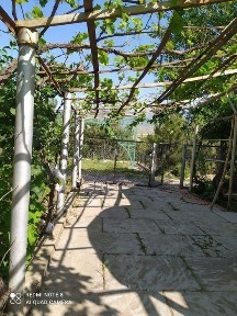 Ташкентская область, Ташкент, Яккасарайский район