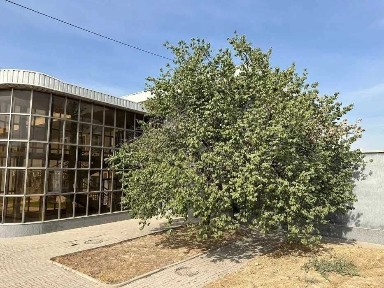 Ташкентская область, Ташкент, Юнусабадский район