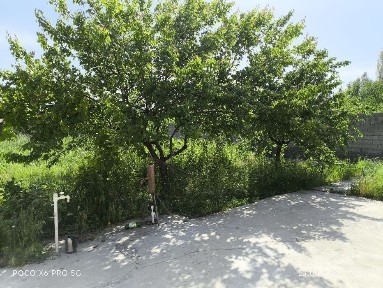 Ташкентская область, Чирчик