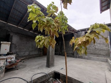 Ташкентская область, Ташкент, Бектемирский район