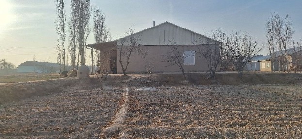 Tòrtkulda tumani Shorahonda joy sotilodi