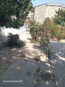 Ташкентская область, Ташкент, Сергелийский район