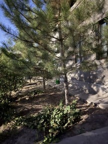 Ташкентская область, Ташкент, Мирабадский район