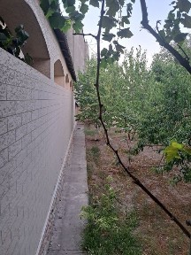 Ташкентская область, Ташкент, Мирзо-Улугбекский район