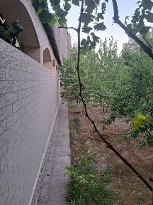 Ташкентская область, Ташкент, Мирзо-Улугбекский район