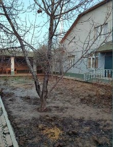 Ташкентская область, Ташкент, Яшнабадский район