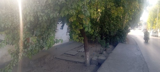 Ташкентская область, Ташкент, Мирзо-Улугбекский район